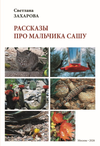 Рассказы про мальчика Сашу