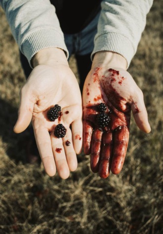 Ежевичный пирог