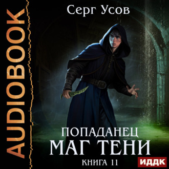 Попаданец. Маг Тени. Книга 11