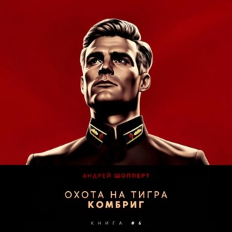 Охота на Тигра 6. Комбриг