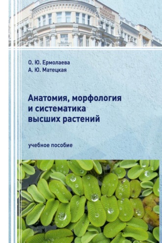 Анатомия, морфология и систематика высших растений.