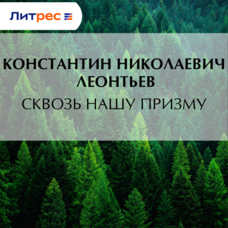 Сквозь нашу призму