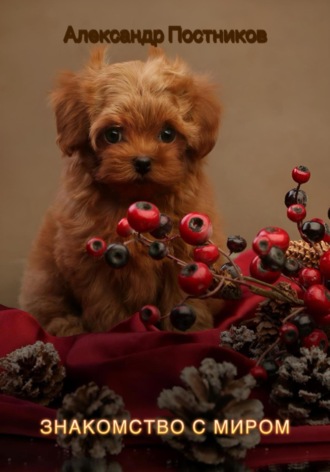 Знакомство с миром