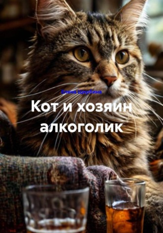 Кот и хозяин алкоголик