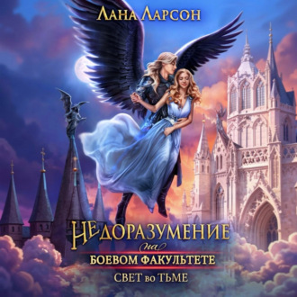 Недоразумение на боевом факультете. Свет во тьме. Книга 2