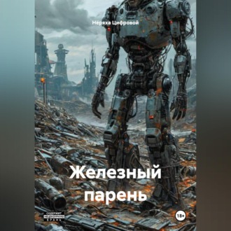 Железный парень