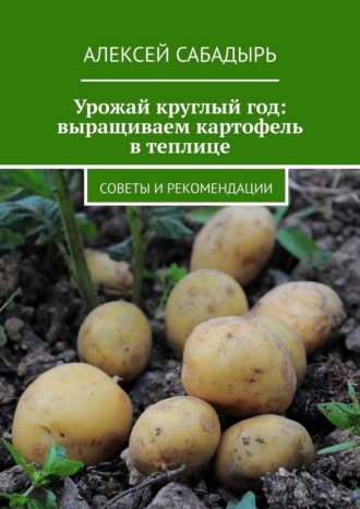 Урожай круглый год: выращиваем картофель в теплице. Советы и рекомендации