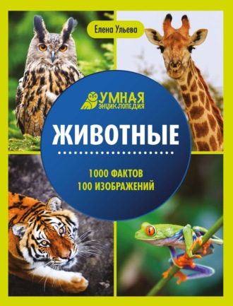 Животные. Энциклопедия