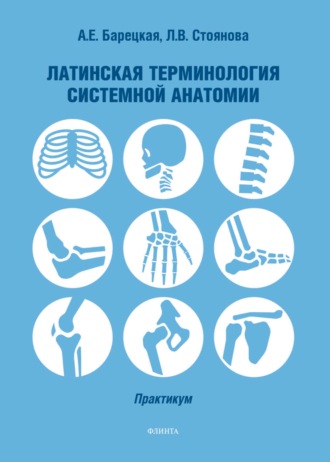 Латинская терминология системной анатомии