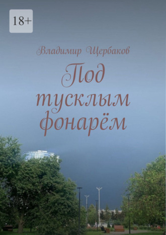 Под тусклым фонарём