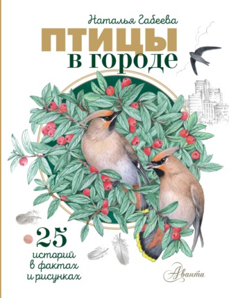 Птицы в городе. 25 историй в фактах и рисунках