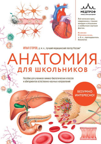 Анатомия для школьников. Пособие для учеников химико-биологических классов и абитуриентов естественно-научных направлений