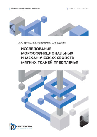 Исследование морфофункциональных и механических свойств мягких тканей предплечья