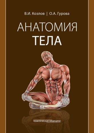 Анатомия тела