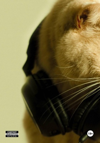 im - cl 8255 poglche 1504 premod