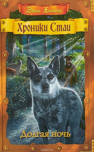 Долгая ночь