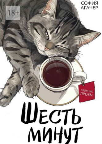 Шесть минут. Сборник прозы