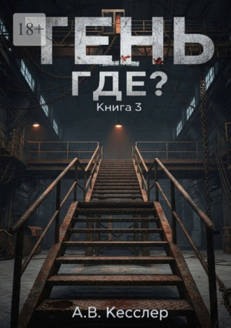 Тень: Книга 3. Где?