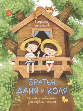 Братья Даня и Коля. Рассказы-невелички для первого чтения