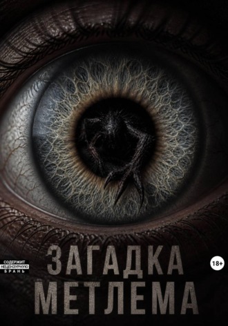 Загадка Метлема