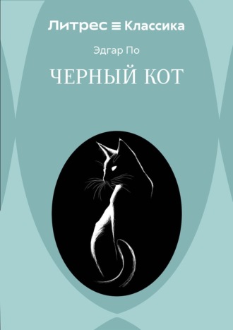 Черный кот