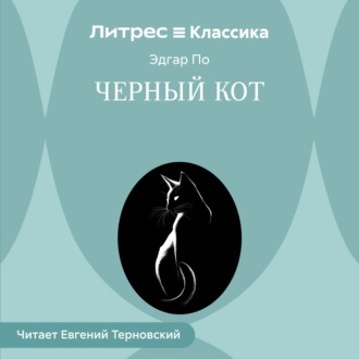 Черный Кот