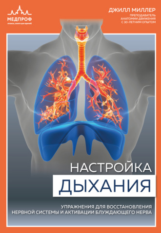 Настройка дыхания. Упражнения для восстановления нервной системы и активации блуждающего нерва