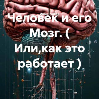 Человек и его Мозг. ( Или,как это работает )
