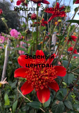 Зеленый централ