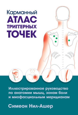Карманный атлас триггерных точек. Иллюстрированное руководство по анатомии мышц, зонам боли и миофасциальным меридианам