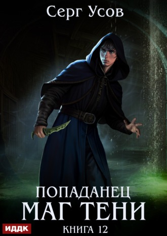 Попаданец. Маг Тени. Книга 12