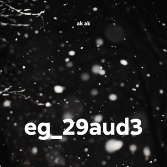 eg_29aud3