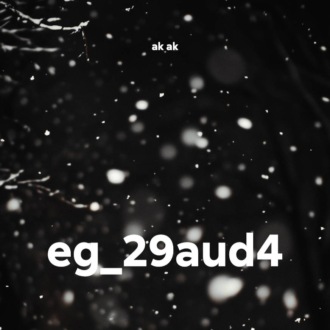 eg_29aud4