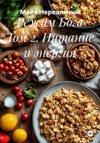 Режим Бога Том 2. Питание и энергия