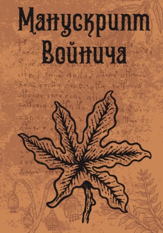 Манускрипт Войнича
