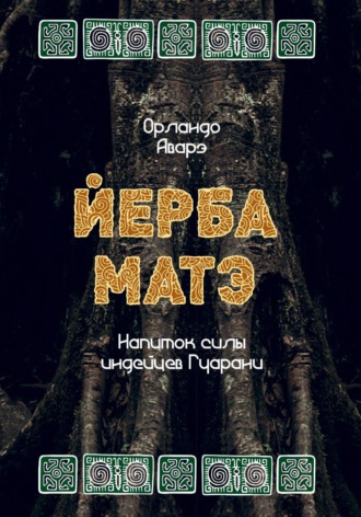 ЙЕРБА МАТЭ: напиток силы индейцев гуарани