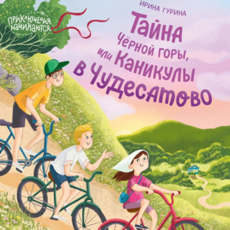 Тайна Черной горы, или Каникулы в Чудесатово