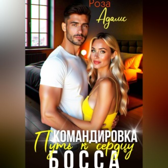 Командировка. Путь к сердцу босса.