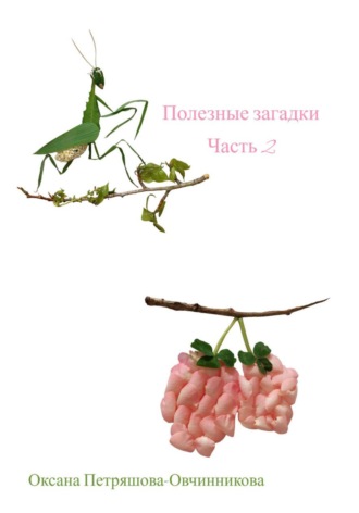 Полезные загадки. Часть 2