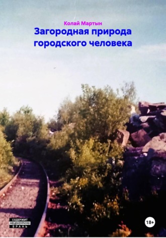 Загородная природа городского человека