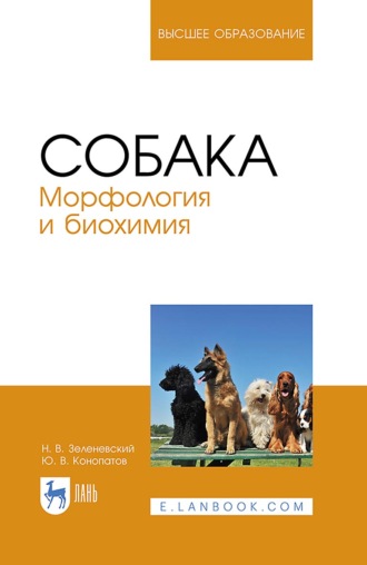 Собака. Морфология и биохимия. Учебное пособие для вузов. 3-е издание, исправленное и дополненное