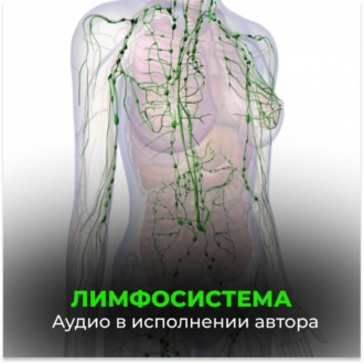Лимфосистема