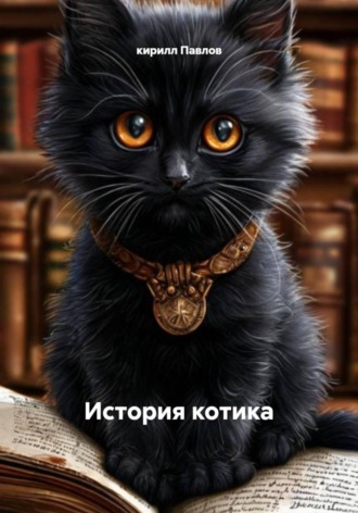 История котика