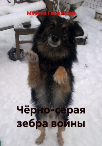 Чёрно-серая зебра войны