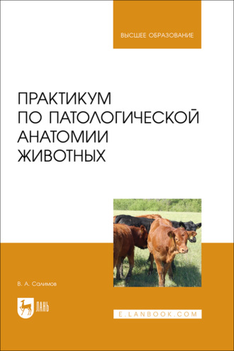 Практикум по патологической анатомии животных. Учебное пособие для вузов. 5-е издание, переработанное и дополненное