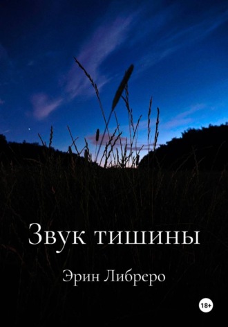 Звук тишины