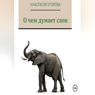 О чем думает слон