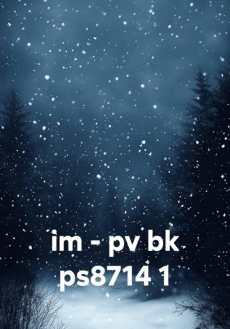 im - pv bk ps8714 1 изменено
