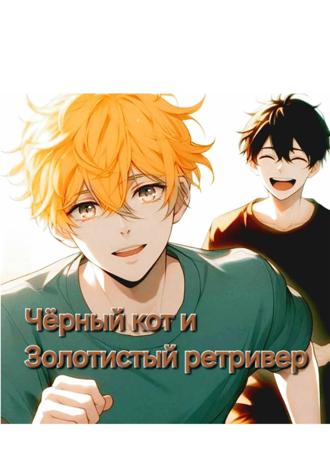 Чёрный кот и золотистый ретривер