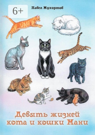 Девять жизней кота и кошки Мани